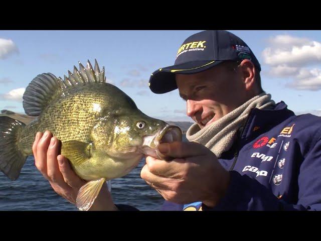 Fishing for Yellowbelly with Vibes - Reel Action TV