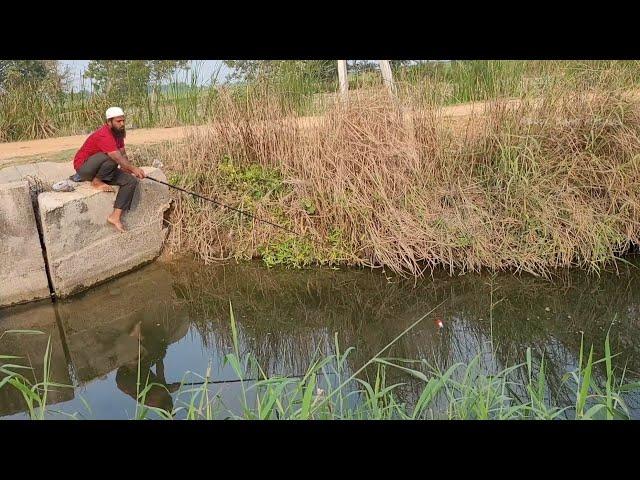 Baamfishes fishing in Deep ponds|Fisher Man fishing in Baamfish and TILAPIAFISHES fishing in Village