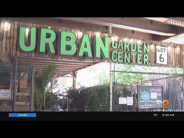 Shop Local Saturday: Urban Garden Center