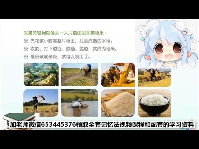 关键词联想记忆法02 03