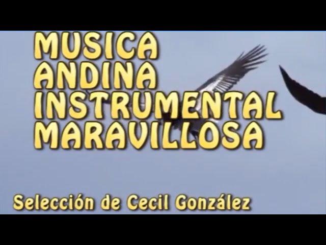 MUSICA ANDINA INSTRUMENTAL MARAVILLOSA. ANDEAN INSTRUMENTAL MUSIC | Musica De Cecil Gonzalez