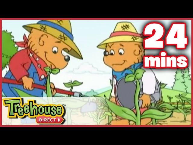 The Berenstain Bears: The Summer Job / The Big Red Kite - Ep. 21