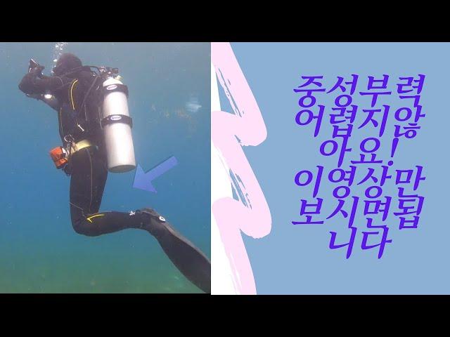 스킨스쿠버다이빙 필수 "중성부력"/Neutral buoyancy required for skin scuba diving#스킨스쿠버다이빙중성부력#중성부력#픽퍼보먼스보얀시중성부력