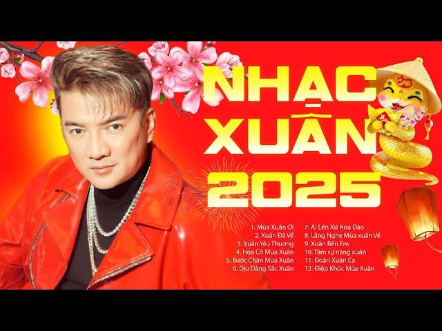 Liên Khúc Xuân 2025 Không Quảng Cáo | Mùa Xuân Ơi , Xuân Đã Về | Nhạc Xuân 2025 Đàm Vĩnh Hưng