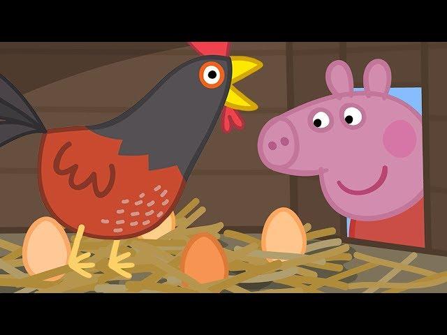 Peppa Pig Świnka Peppa Bajka po Polsku | Kurczenta Babci Świnki | Bajka po Polsku