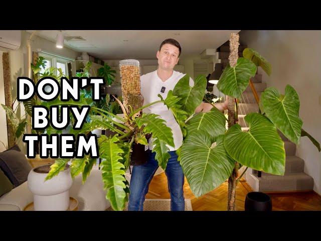 10 PLANTS I WOULD NOT BUY AGAIN & WHY