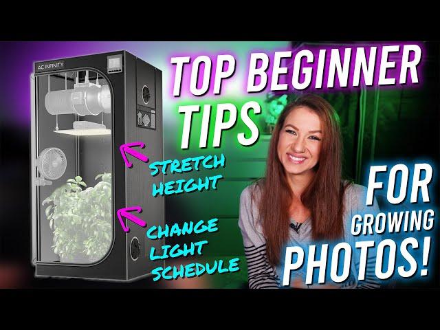 Top Tips For Beginners Growing Photos!