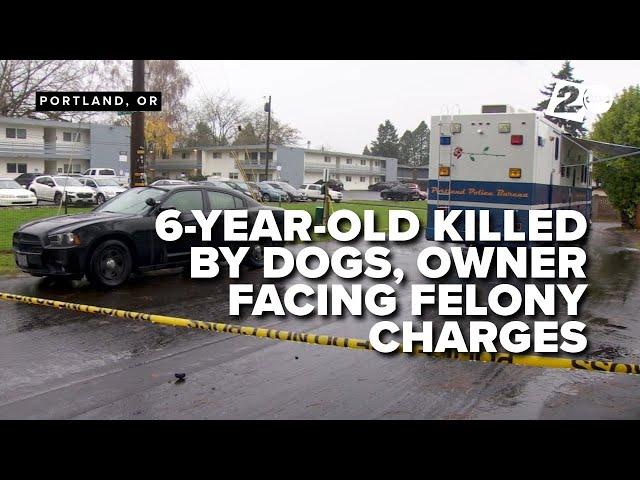 6-year-old boy fatally mauled by pet dogs in Portland, owner facing multiple charges