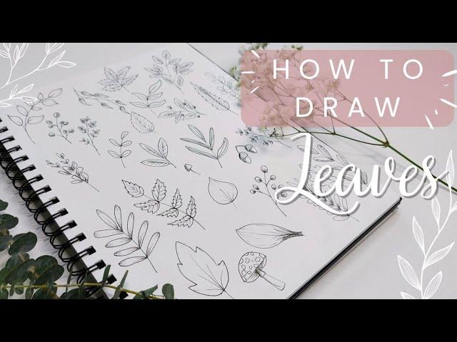 How To Draw Easy Leaves (Relaxing Beginner's Tutorial)