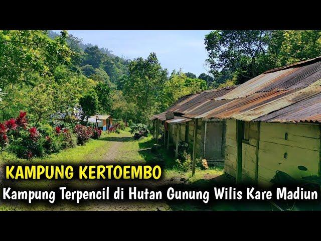 Kertoembo kampung  terpencil Yang Virall di hutan gunung wilis Kandangan kare Madiun