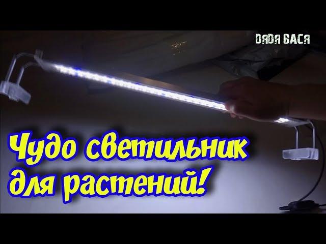 СВЕТОДИОДНЫЙ СВЕТИЛЬНИК ДЛЯ АКВАРИУМА SUNSUN ИЗ КИТАЯ! ОБЗОР, ТЕСТ, МОНТИРОВАНИЕ В КРЫШКУ, СРАВНЕНИЕ