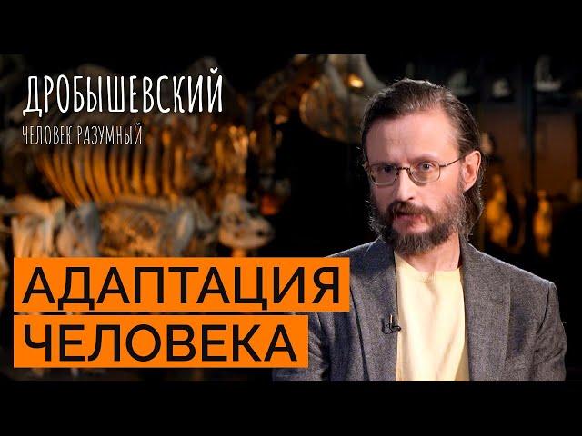 Как среда формировала человека и как он адаптировался?