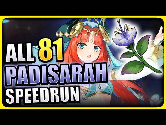 ALL 81 Padisarah Locations EFFICIENT & FAST ROUTE Genshin Impact Nilou Ascension Material