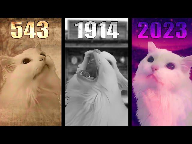 Cat MEOW in different years