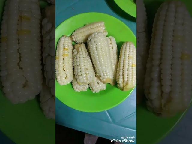 BOILED WHITE CORN (MUKBANG) NILAGANG PUTING MAIS VIDEOS / #J Lay Channel