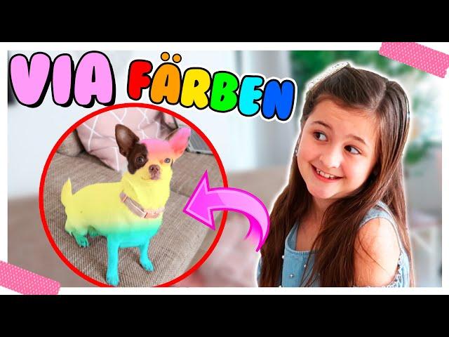 Ich FÄRBE meinen HUND BUNT!  Prank an Papa  Alles Ava