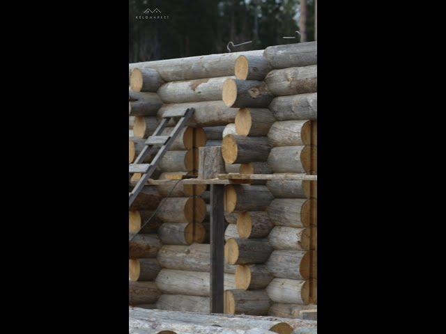 Как не допустить усадку окон в доме из Кело: обсадной брусок #kelo #соснакело #отделкаизкело