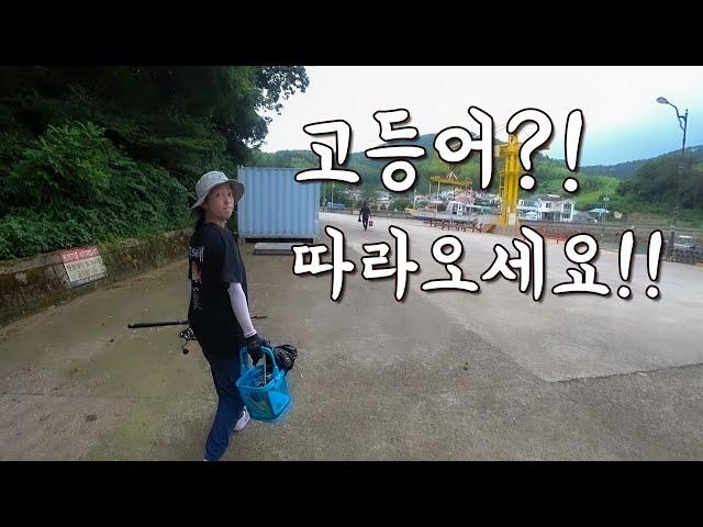 [다리tv] 고등어! 숭어! 전어?! 만능 채비들고 요기로 오시면 됩니다!!!