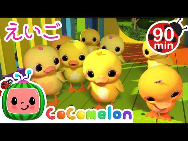 【えいごをまなぼ！】Ten Little Duckies | こどものうた‐あかちゃんが喜ぶ歌‐ココメロン日本語公式チャンネル‐cocomelon