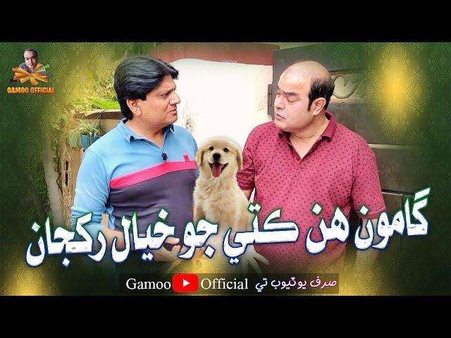 Gamoo Hin Kute Jo Khyal Rakhja | Asif Pahore (Gamoo) | Sohrab Soomro