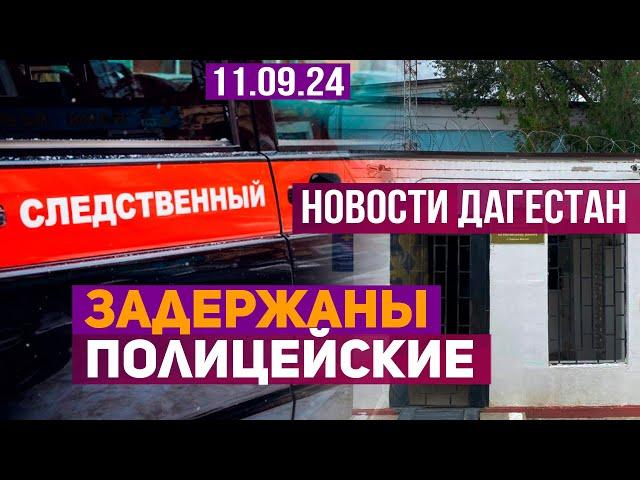 Новости Дагестана за 11.09.2024 год