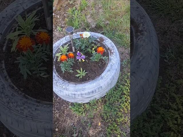 Цветы разцвели и у меня 