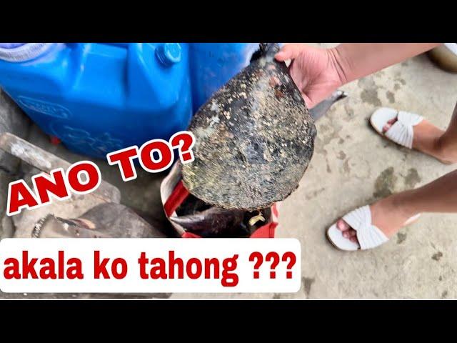 VLOG# 1133 AKALA KO TAHONG ANG LALAKI