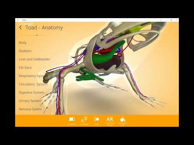 Augmented and Virtual Reality with Lifeliqe