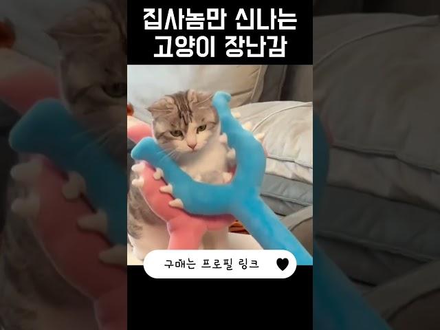 집사만 신나는 고양이 장난감