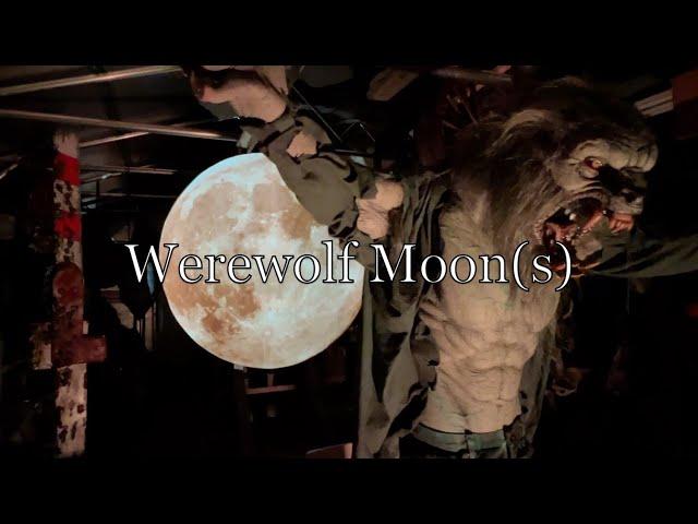 Werewolf Moon(s)