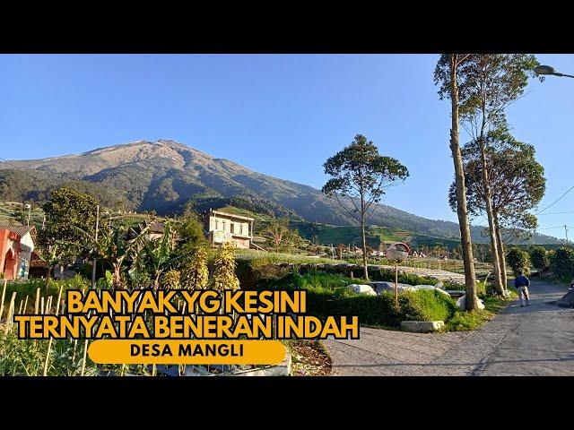 MENUJU DESA TERINDAH DI KALIANGKRIK MAGELANG - Desa Wisata Mangli di Lereng Gunung Sumbing