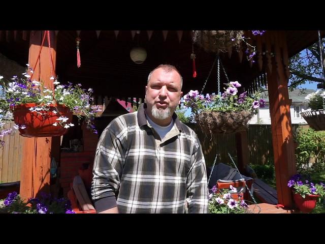 Цитадель Экзюпери