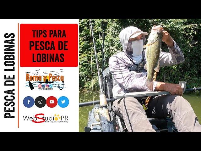 Tips Para Pesca de Lobinas en 1 Minuto #Shorts - Rema y Pesca