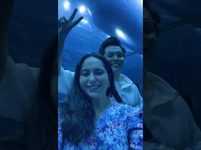 Dubai Aquarium  & Underwater Zoo #dubai #dubaiaquarium #dubaimall