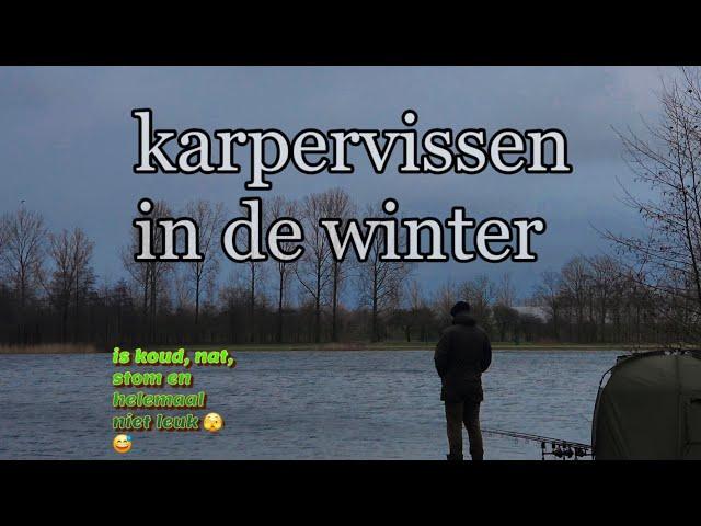 Karpervissen in de winter in Nederland. Zomaar een sessie!