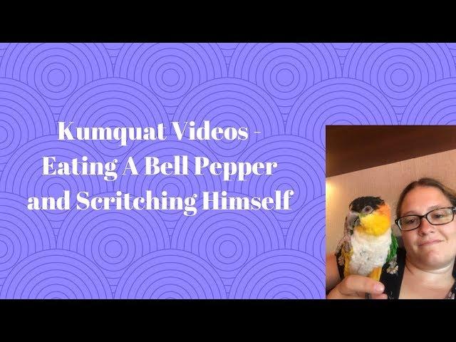 Kumquat - The Cruising Caique