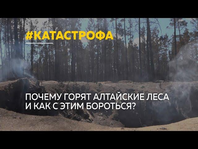 Специальный репортаж: Почему горят алтайские леса и как с этим бороться?