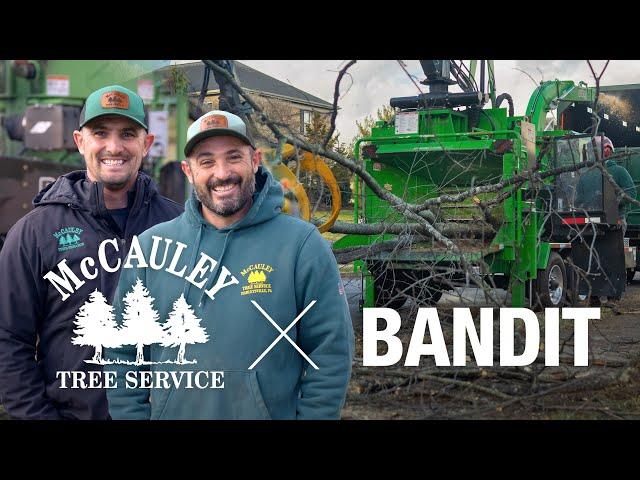 BANDIT & McCauley Tree Service: 2090 with Kesla Loader Makes Quick Work of BIG TREE REMOVAL JOB!