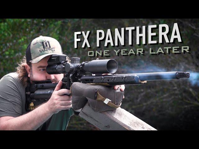 FX Panthera, One Year Later: The Undisputed Master [4K]