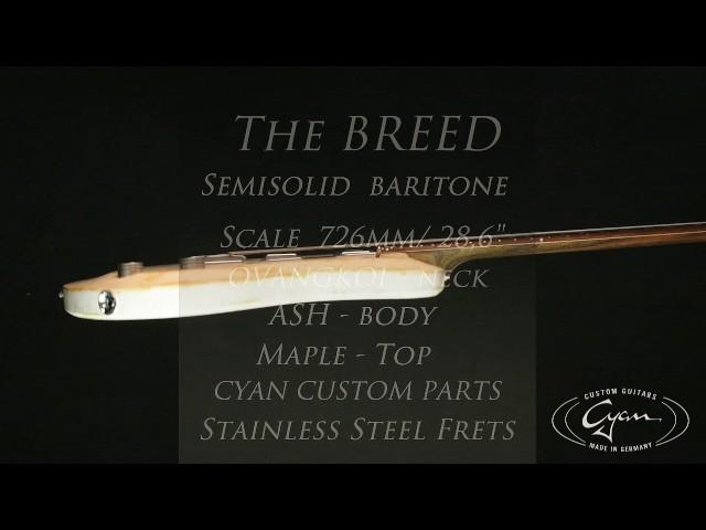 THE BREED   Semisolid Baritone Guitar