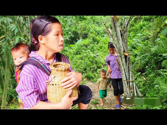 The husband is missing, The wife goes to ask her husband who often goes out to drink | Bàn Thị Ta