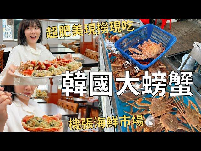 韓國海鮮市場吃大螃蟹 一人吃一隻超過癮‼️ 超肥蟹腳陪蟹膏拌飯| Korea vlog