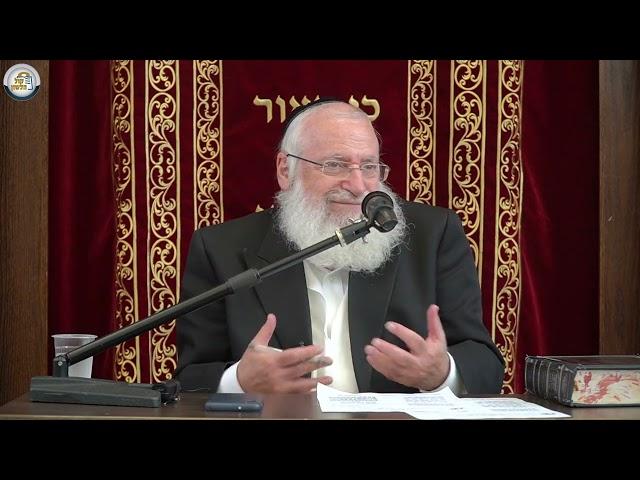 Understanding the Laws of Tzaar Balei Chaim | Weekly Shiur by Rav Asher Weiss Shlit"a (5784)