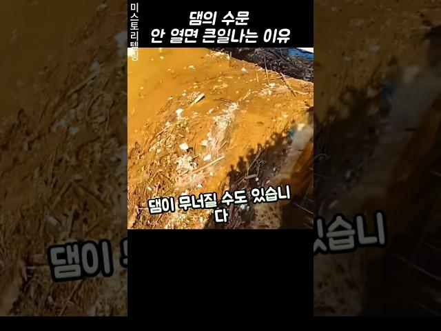 댐의 수문, 왜 정기적으로 열어야 할까?