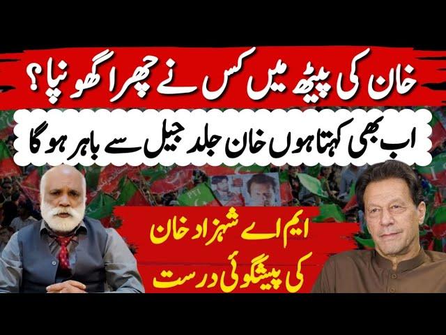 Big Prediction | Imran Khan Will Call Again | PTI Protest | D Chowk | Palmist MA Shahzad Khan