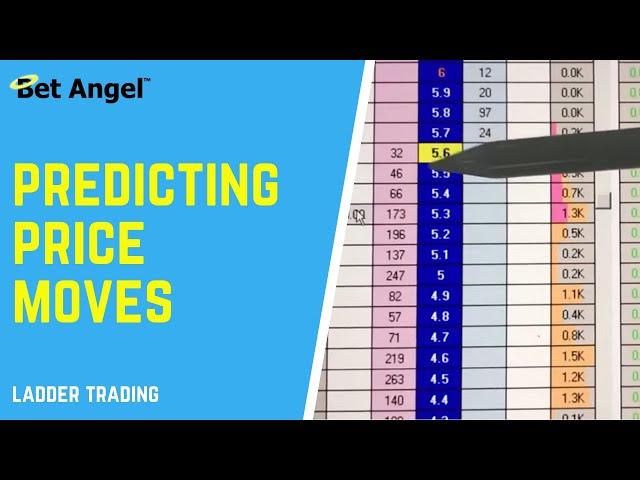 Betfair trading | How to predict price movements on a ladder interface