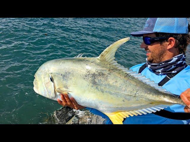 Fishing for Giant Jack Crevalles on the Jetties