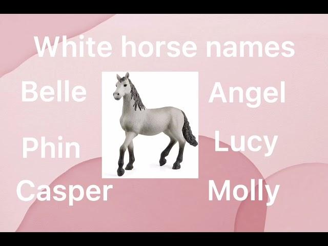 SCHLEICH HORSE NAME IDEAS! Simply Schleich 