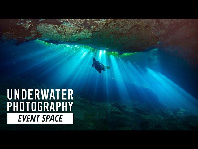 Underwater Photography: A Beginner’s Guide | B&H Event Space