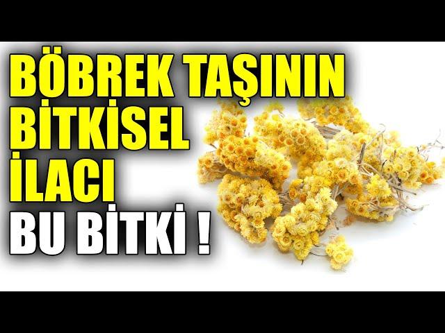 Böbrek taşına, Safra kesesine ve mide dostu mucize bitki !